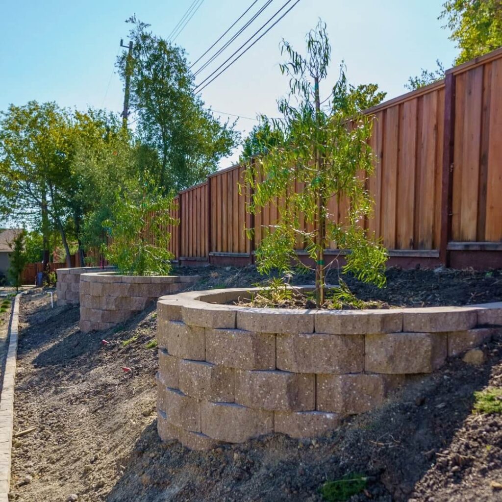 Landscaped garden featuring young trees planted in circular stone paver retaining walls, with a backdrop of a wooden fence, mature trees, and overhead power lines under a clear sky.