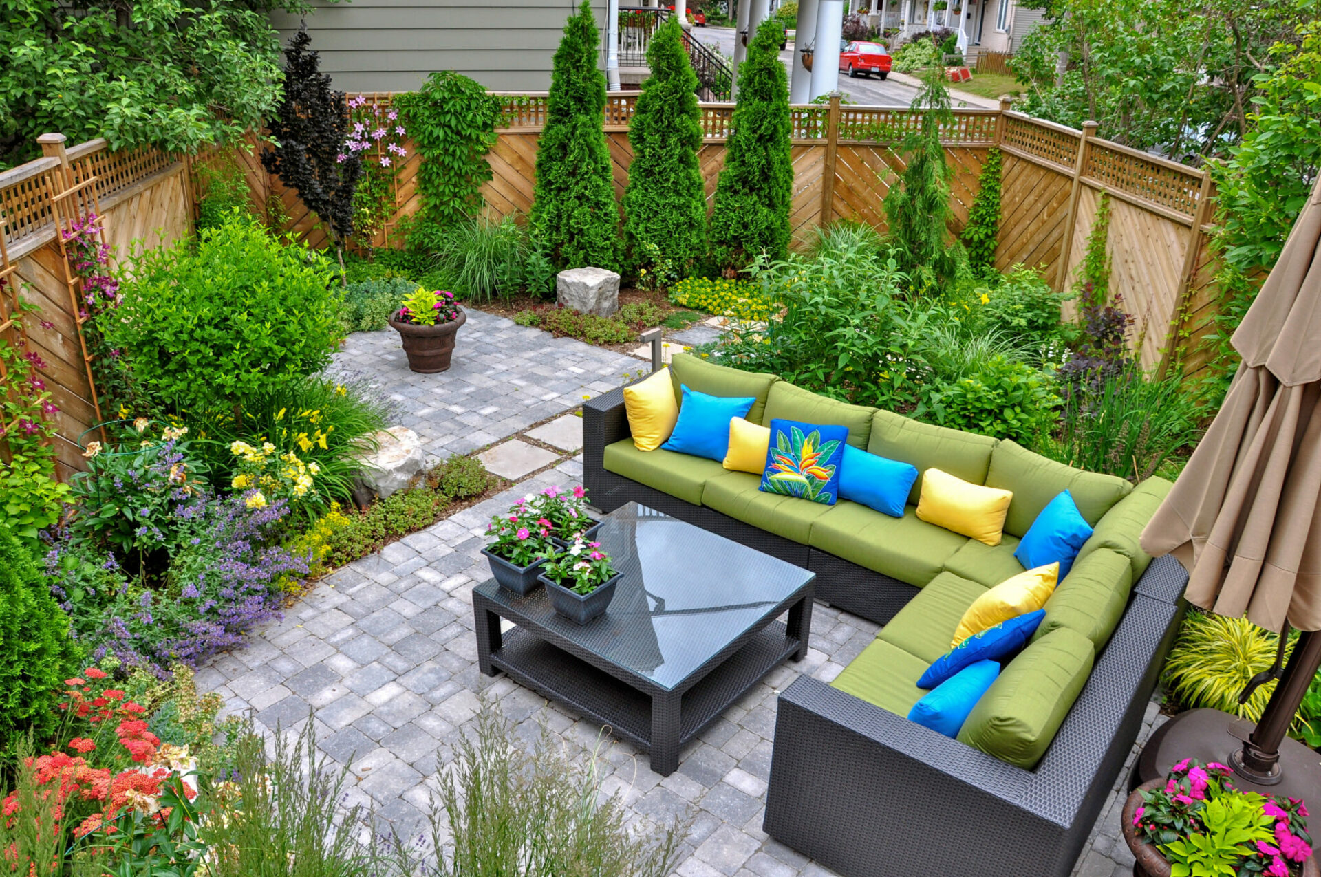 How to Create Privacy in Your Backyard: Tips and Tricks