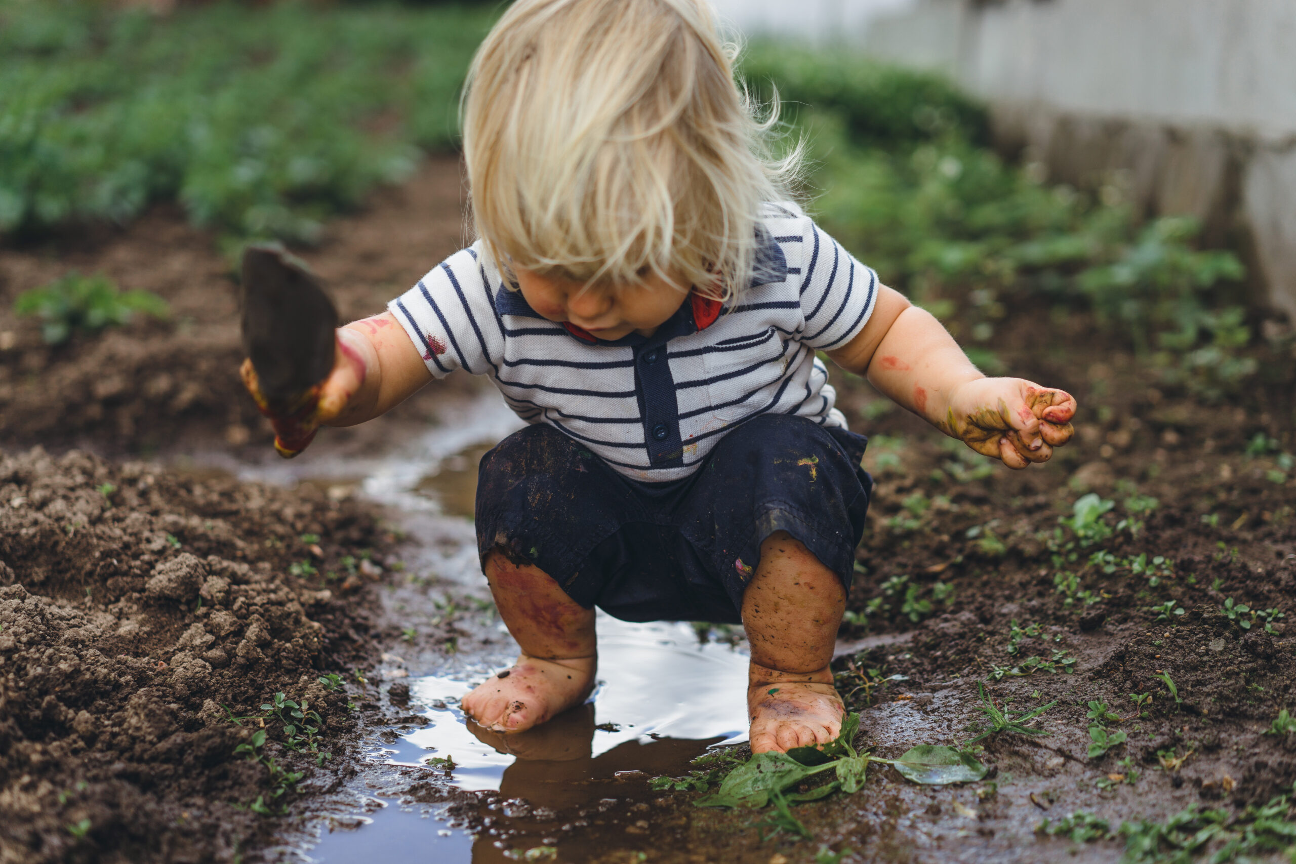 A toddler with blonde hair, wearing a striped shirt and navy shorts, plays in a muddy puddle in a garden, holding a trowel and covered in mud splatters.