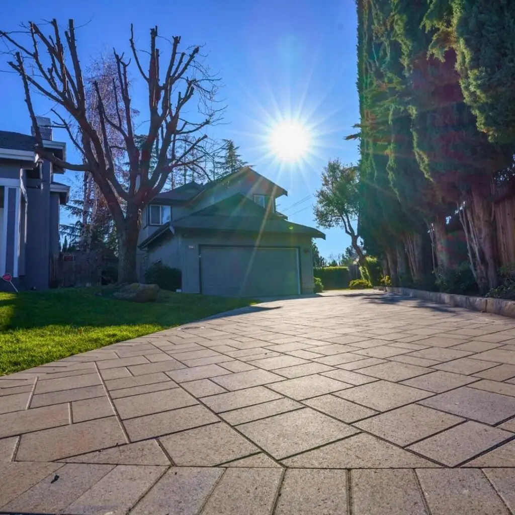 A radiant sun illuminates the scene, casting long shadows across a neatly paved driveway leading up to a two-story home. The stark contrast between the leafless tree on the left and the flourishing greenery on the right adds a touch of nature's duality. The house, with its muted gray tones, stands majestically amidst the serene landscape.